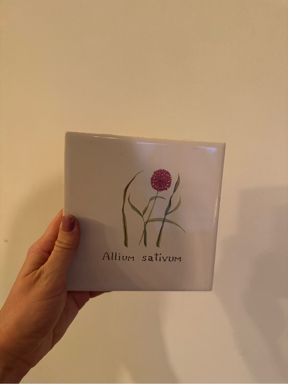 Botanical Decorative Ceramic Tile Trivets with Botanical Illustrations